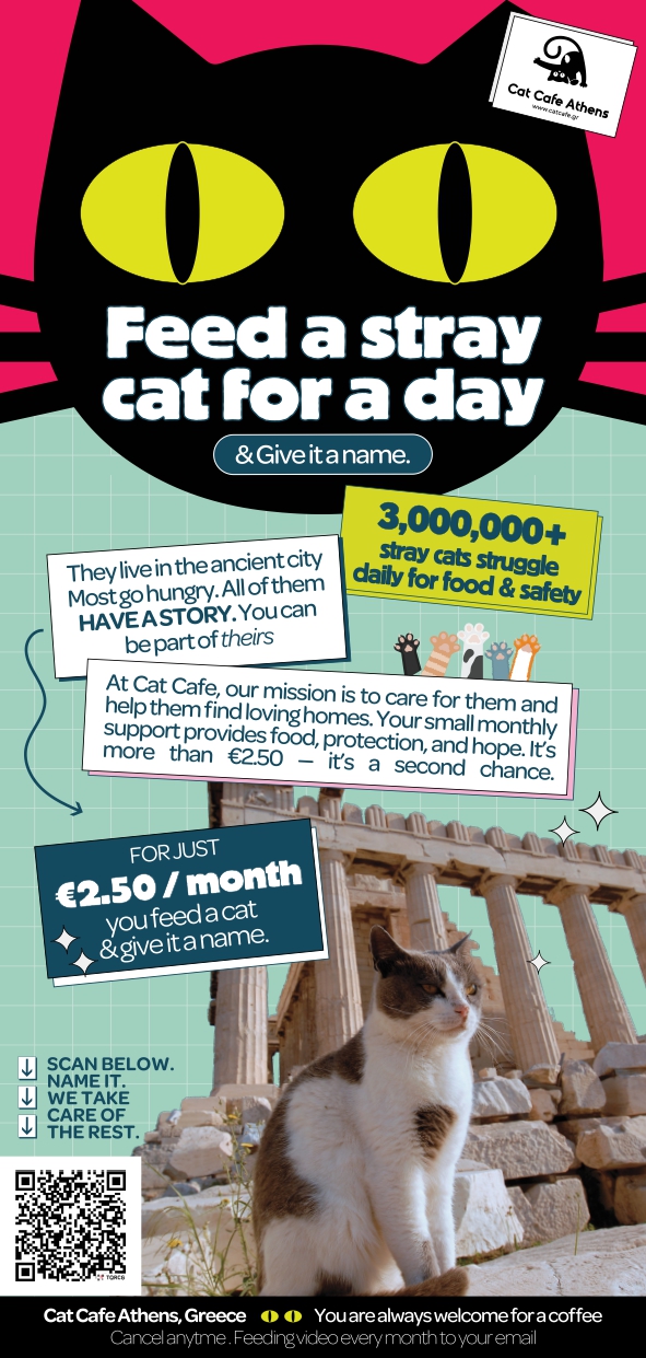 Cat Cafe Athens — Feed a stray cat flyer